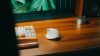 Ergonomic keyboard and mouse buying guide