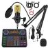 Auto Face Tracking Vlogging Kit vs Pecham Podcast Bundle: Camera Kit vs Audio Bundle — Which Budget Setup?
