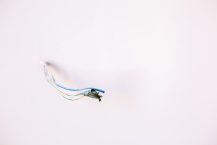 Wired vs wireless gaming mouse: which should you buy?