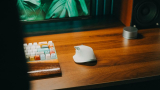Ergonomic Keyboard and Mouse Buying Guide for RSI and Carpal Tunnel Relief (2026)